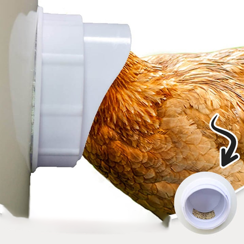 Adjustable Gravity-Feed Chicken Feeder for Dry Food