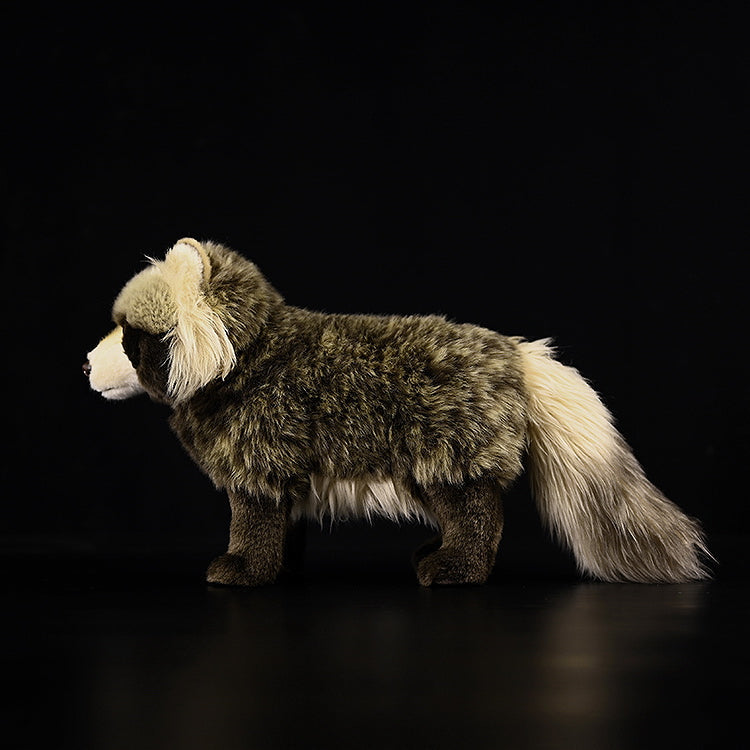 Common Raccoon Dog Plush Stuffed Toy 11.8 Inch