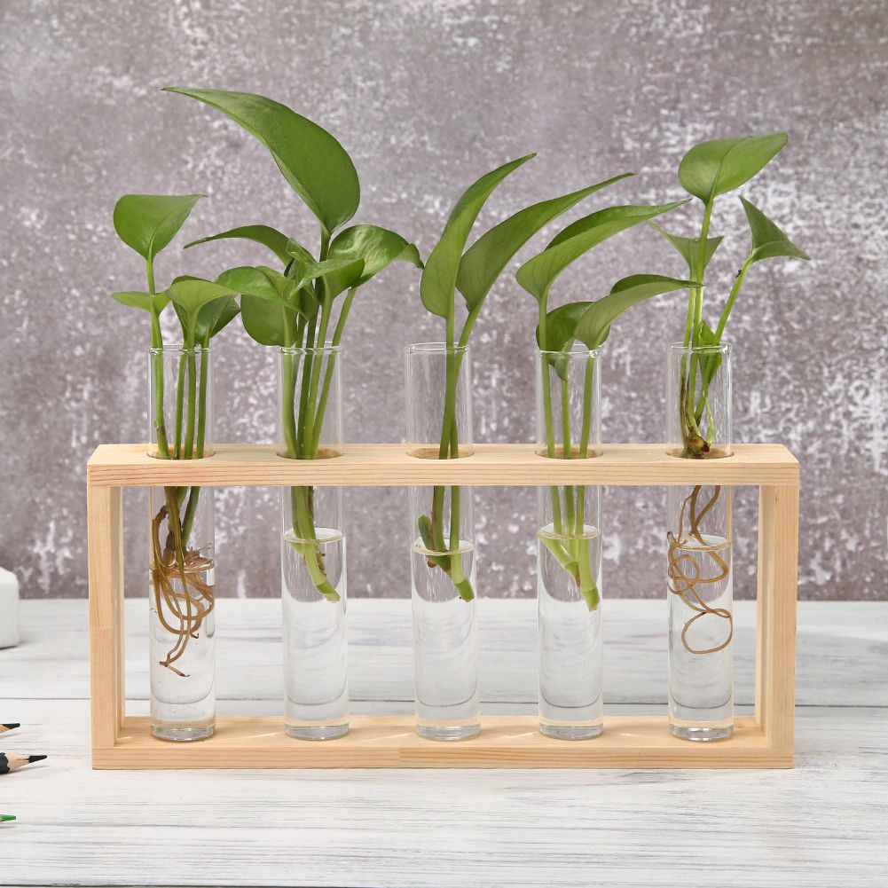 Glass Test Tube Vase with Wooden Stand for Dark Academia Decor