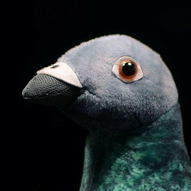 Common Pigeon Plush Stuffed Toy for Kids