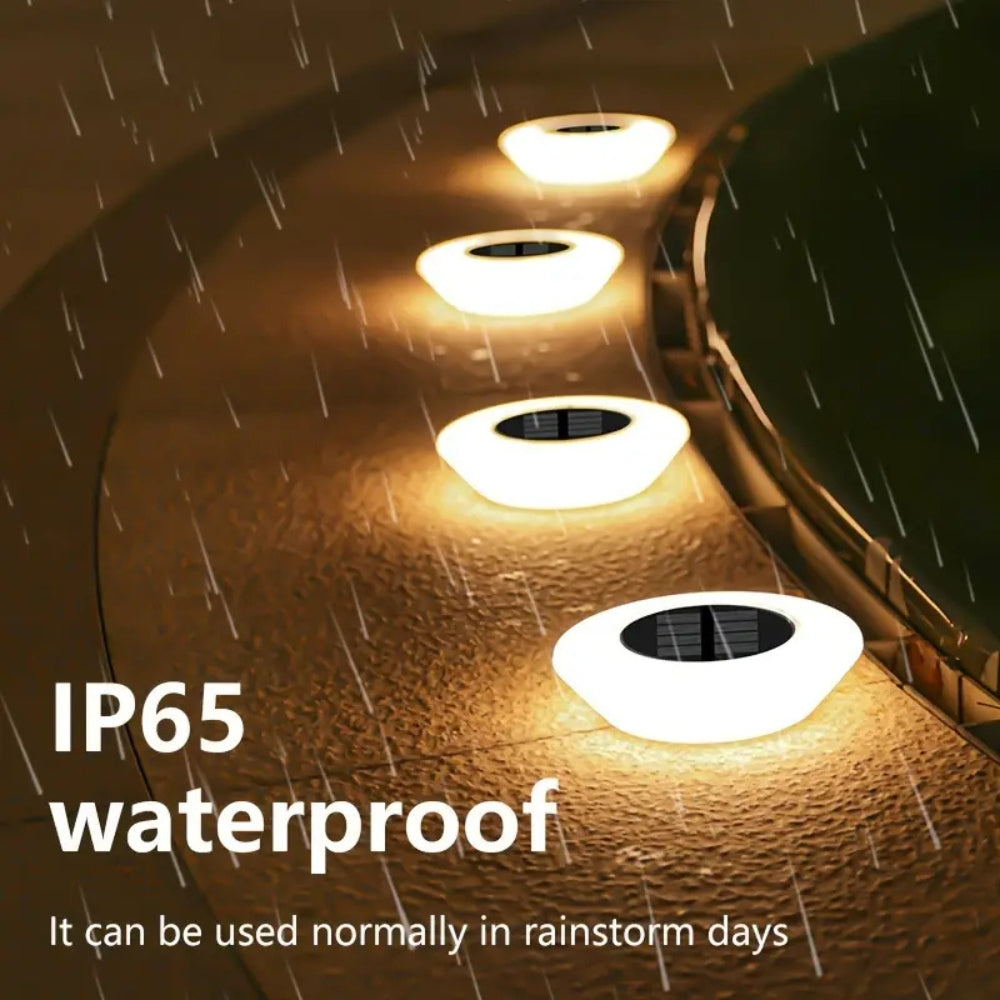 Solar-Powered LED Pathway Lights with Automatic Illumination