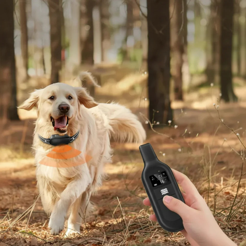 Remote Dog Training Collar with 3300ft Range, 16 Levels, Waterproof
