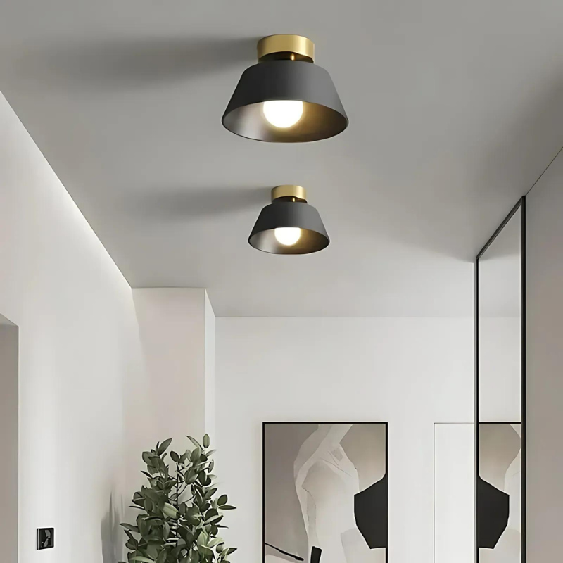 Stylish Black and White LED Ceiling Lamp