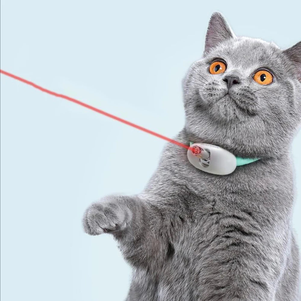 Interactive USB Rechargeable Laser Cat Collar