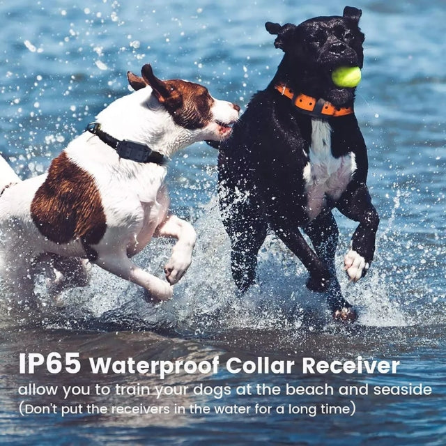 Electric Waterproof Dog Training Collar with Remote Control