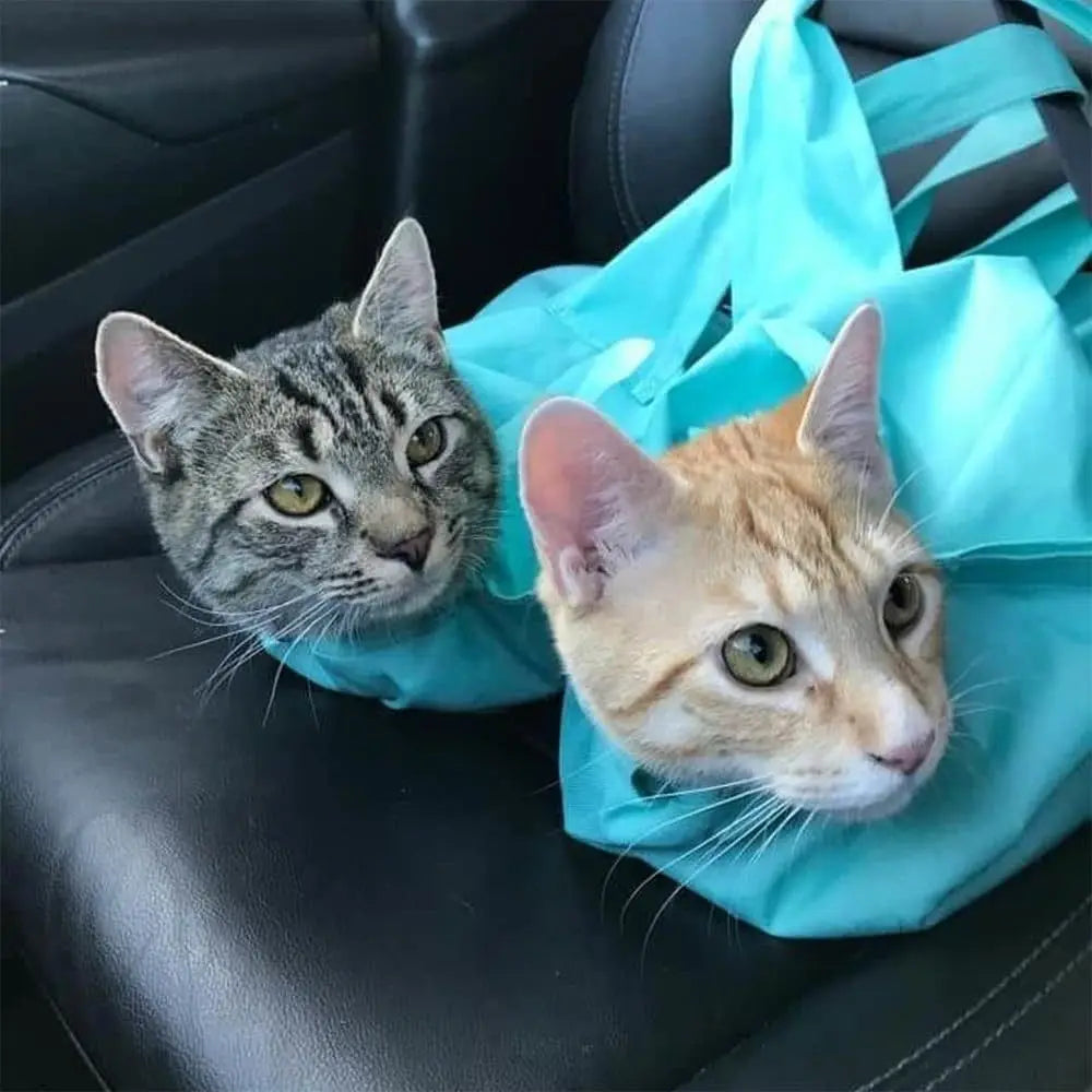Foldable Oxford Cloth Cat Carrier Pouch