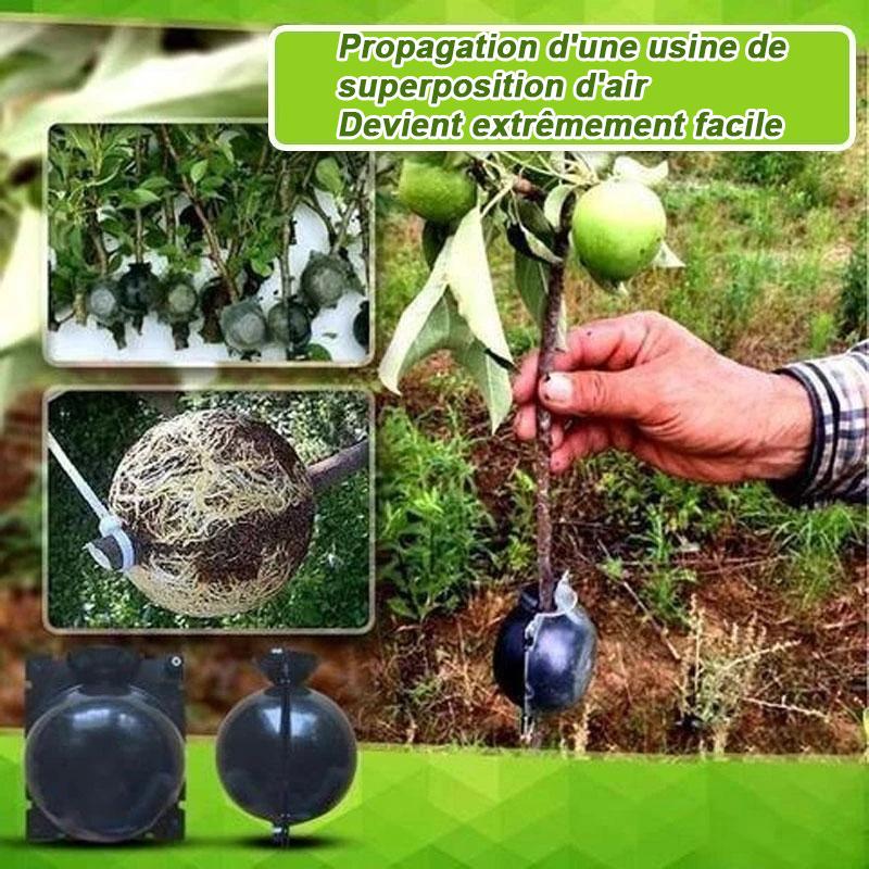 Air Layer Plant Propagation Capsule for Easy Plant Growth