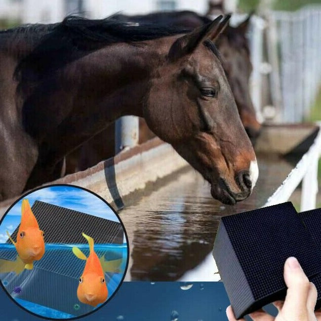 Water Purifier Bio Cube for Livestock and Aquariums