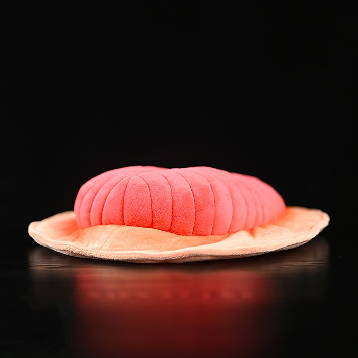 Dickinsonia Fossil Plush Toy for Ages 3+