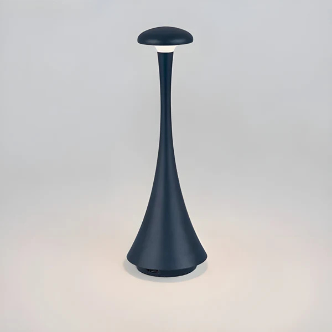 Rechargeable Dimmable LED Table Lamp