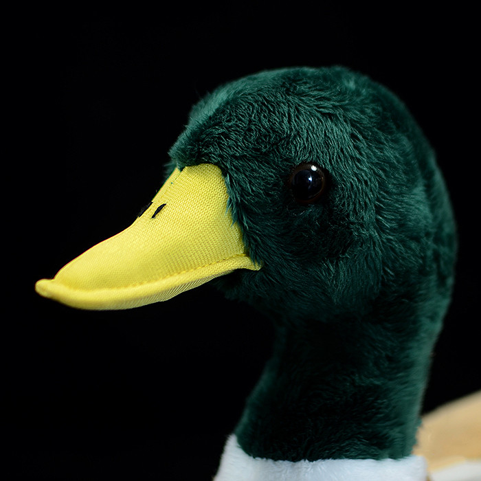 Mallard Duck Plush Stuffed Toy for Kids