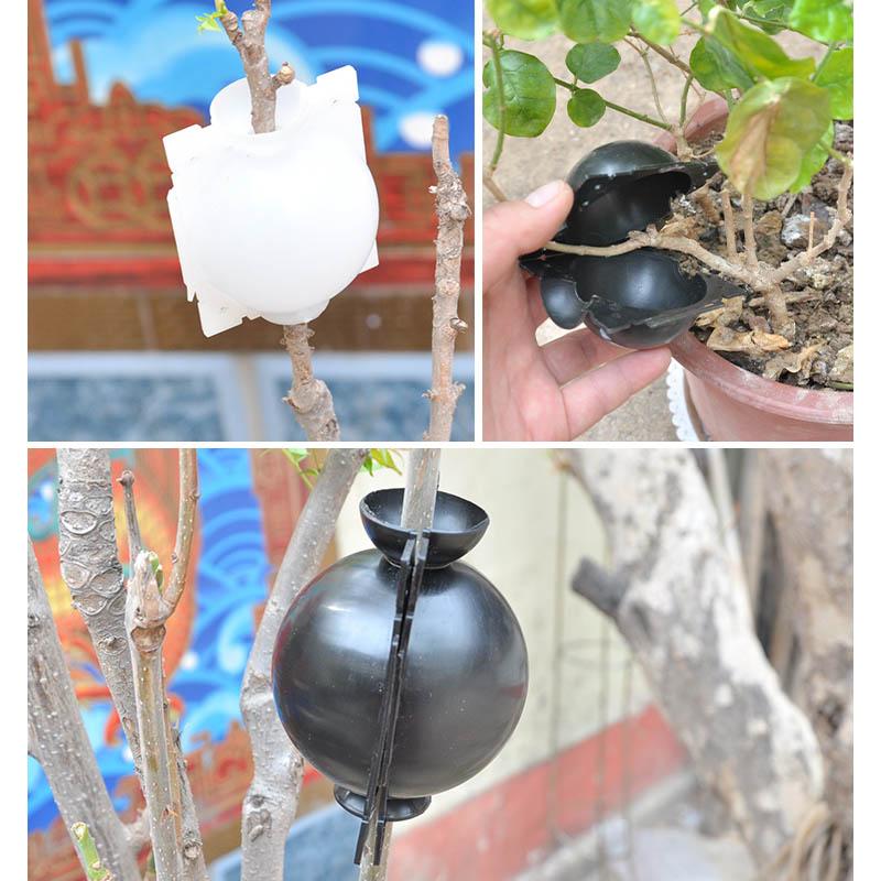 Air Layer Plant Propagation Capsule for Easy Plant Growth
