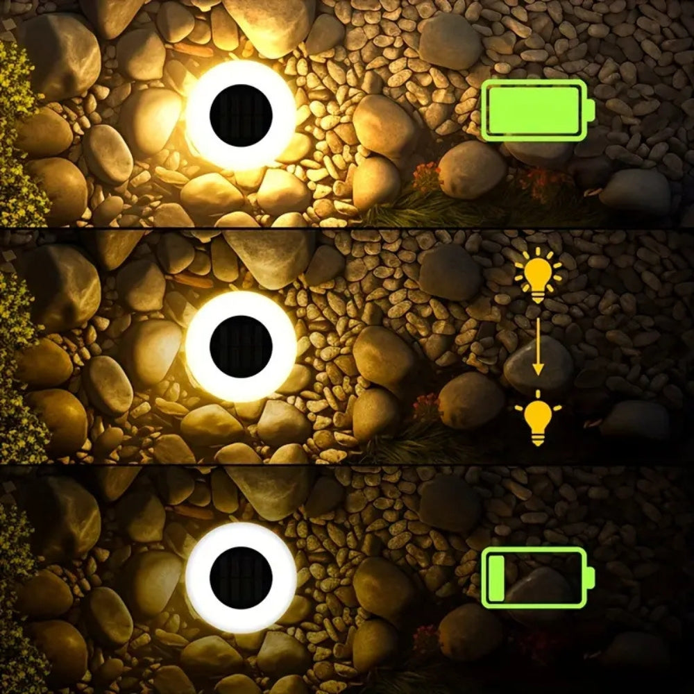 Solar-Powered LED Pathway Lights with Automatic Illumination