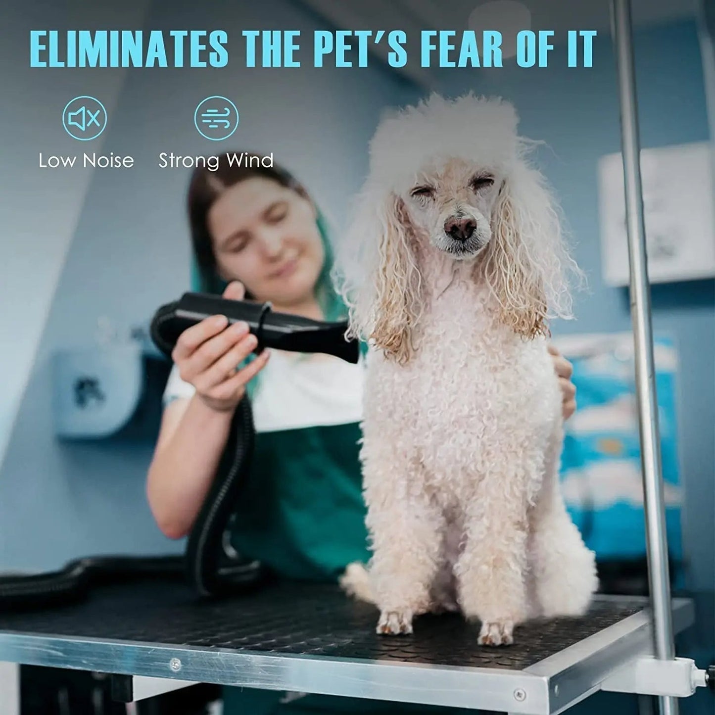 High Velocity Dog Grooming Dryer with Adjustable Heat and Flexible Hose