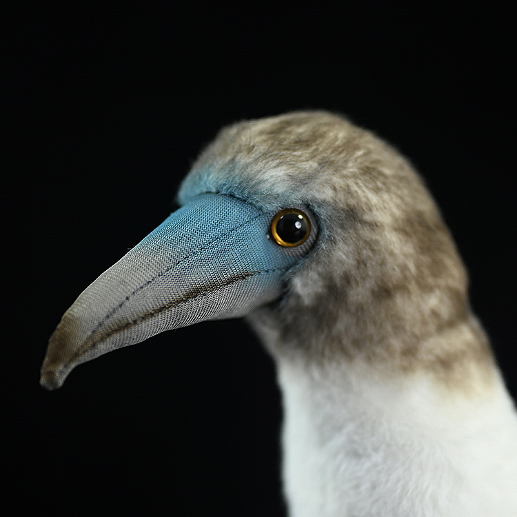 Blue-footed Booby Bird Plush Stuffed Toy