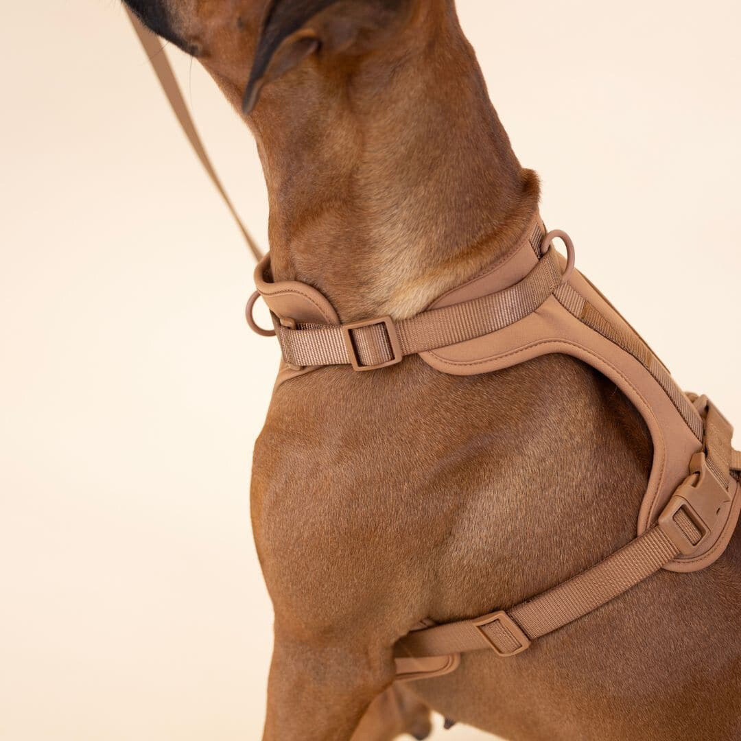 ComfyPaws No-Pull Dog Harness Walking Set with Leash and Poop Bag Holder