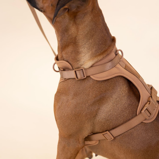 ComfyPaws No-Pull Dog Harness Walking Set with Leash and Poop Bag Holder