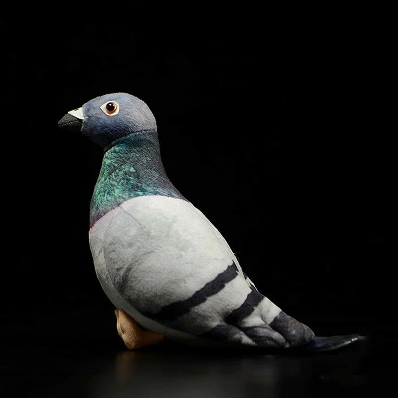 Common Pigeon Plush Stuffed Toy for Kids