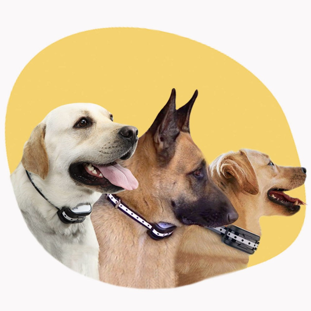 Wireless Dog Training System with Virtual Fence and Adjustable Collar