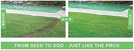 Liquid Lawn Seed Spray for Quick Grass Growth