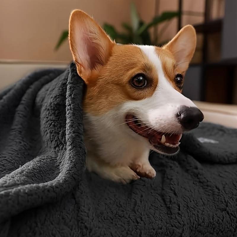 Premium Soft Fleece Pet Blanket for Ultimate Comfort