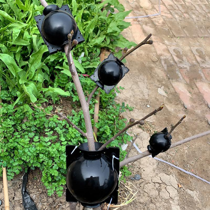 Air Layer Plant Propagation Capsule for Easy Plant Growth
