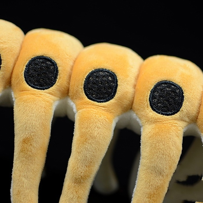 Microdictyon Onychophora Plush Toy - Soft Stuffed Armored Worm