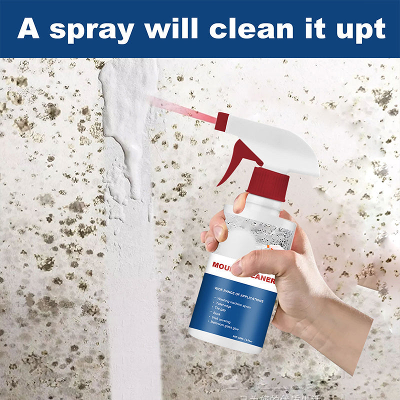 Mold Remover Foam Spray for Fast Stain Removal