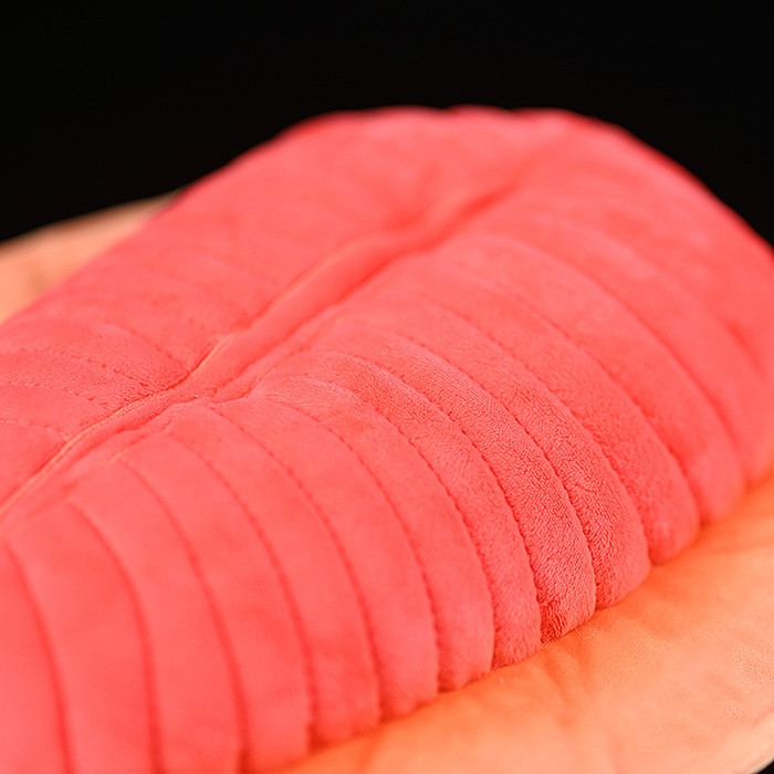 Dickinsonia Fossil Plush Toy for Ages 3+