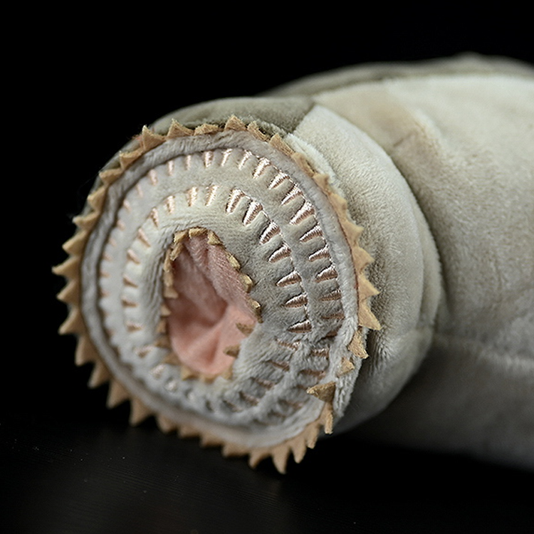 Sea Lamprey Plush Stuffed Toy 20.5 Inch