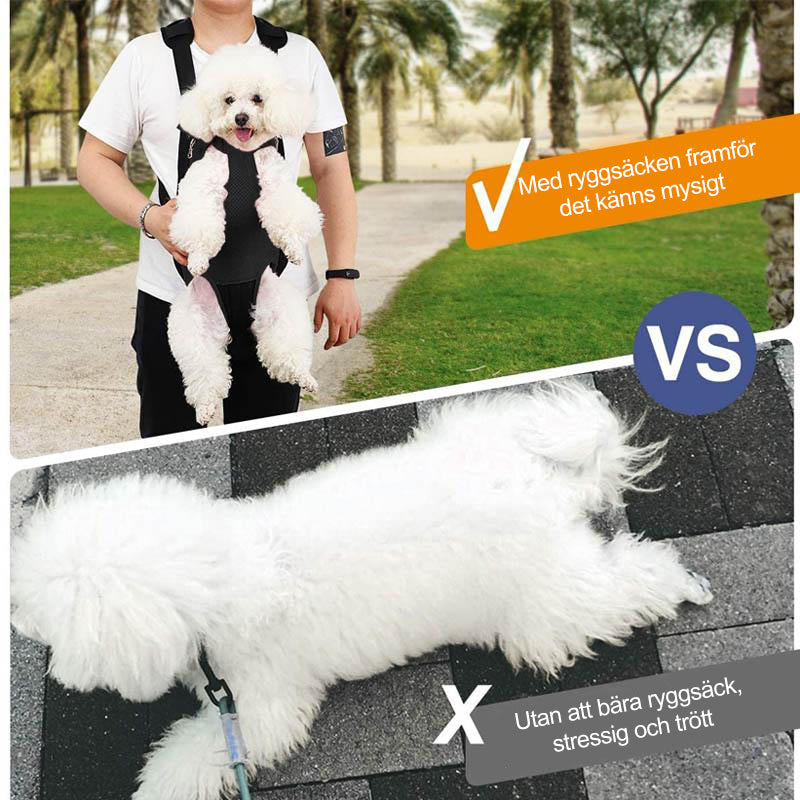 Front Pet Backpack Carrier with Adjustable Straps and Mesh Panels