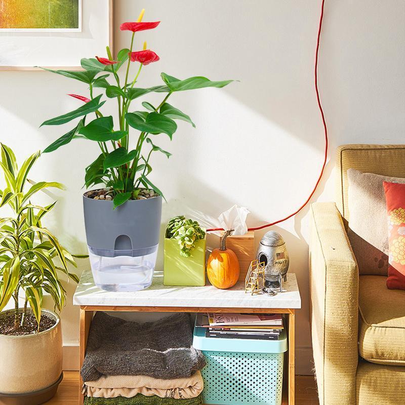 Self-Watering Eco-Friendly Flower Pot with Cotton Wick