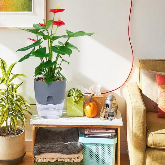 Self-Watering Eco-Friendly Flower Pot with Cotton Wick