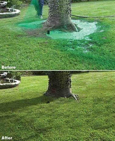 Liquid Lawn Seed Spray for Quick Grass Growth