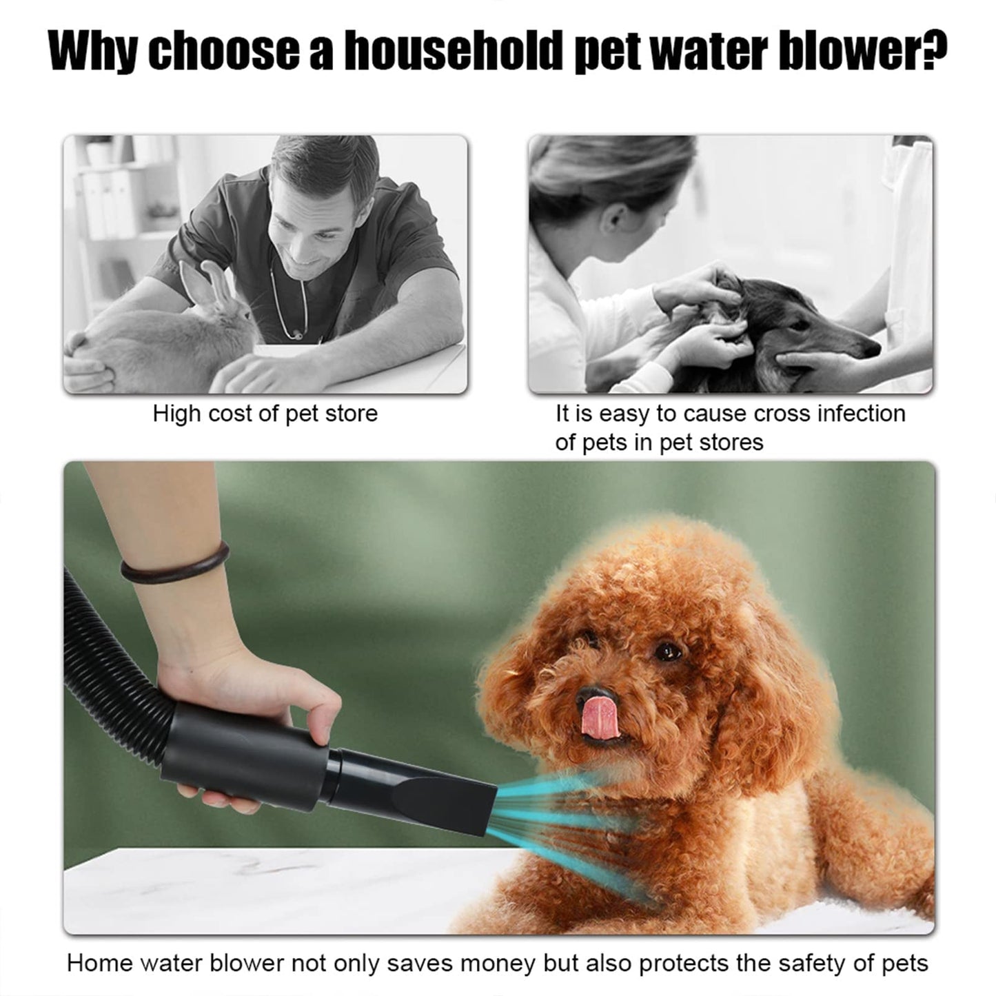 High Velocity Dog Grooming Dryer with Adjustable Heat and Flexible Hose