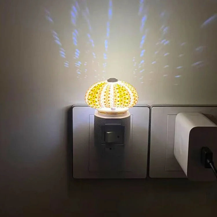 DIY Table Lamp with Natural Sea Urchin Shell and Gold Base