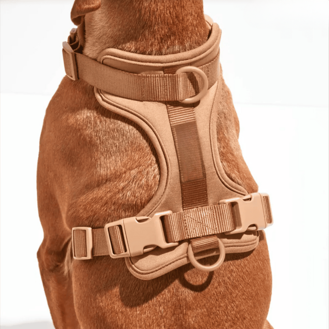 ComfyPaws No-Pull Dog Harness Walking Set with Leash and Poop Bag Holder