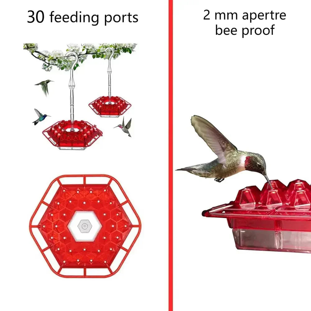 Ant Proof Hummingbird Feeder with Integrated Moat and 30 Feeding Ports