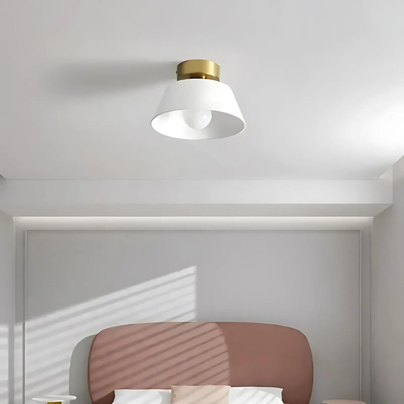 Stylish Black and White LED Ceiling Lamp