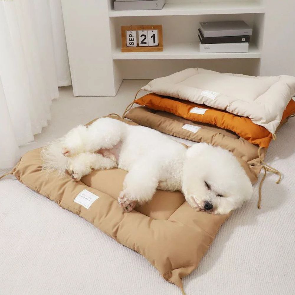 Water-Resistant Microfiber Pet Mat for Dogs and Cats