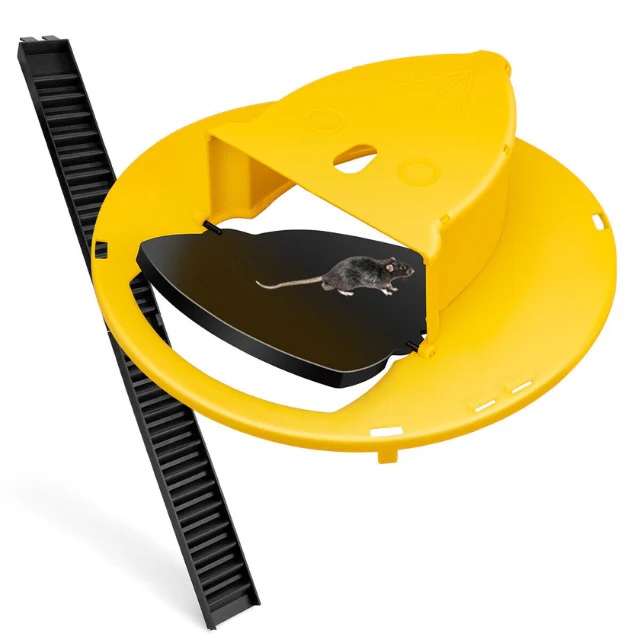 Humane Reusable Mouse and Rat Bucket Trap