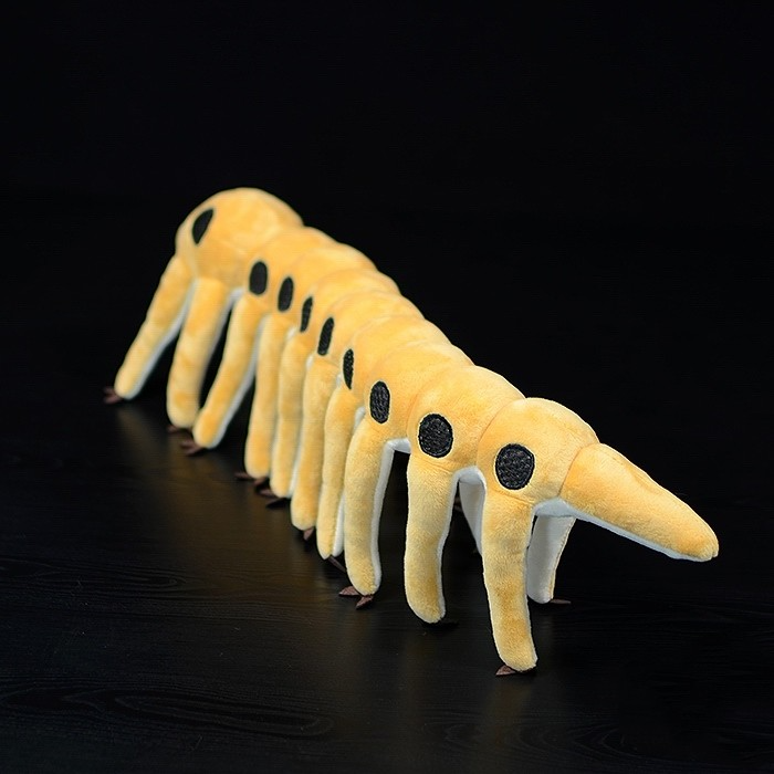 Microdictyon Onychophora Plush Toy - Soft Stuffed Armored Worm