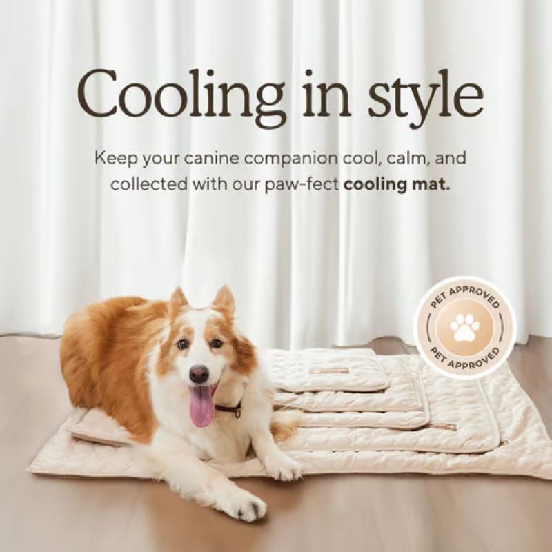 Cooling Mat for Dogs - Gel-Free Summer Pet Pad