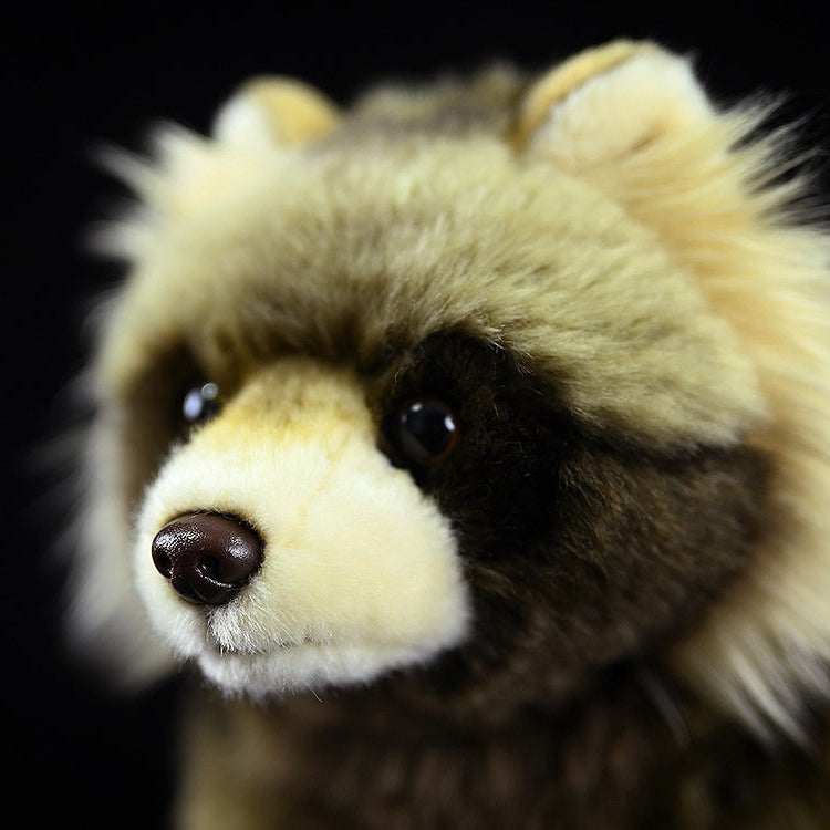 Common Raccoon Dog Plush Stuffed Toy 11.8 Inch