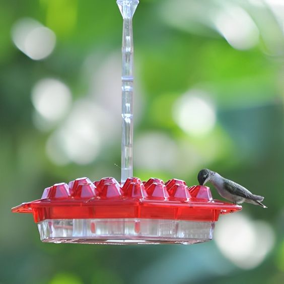 Hanging Hummingbird Feeder with Clear Nectar Reservoir