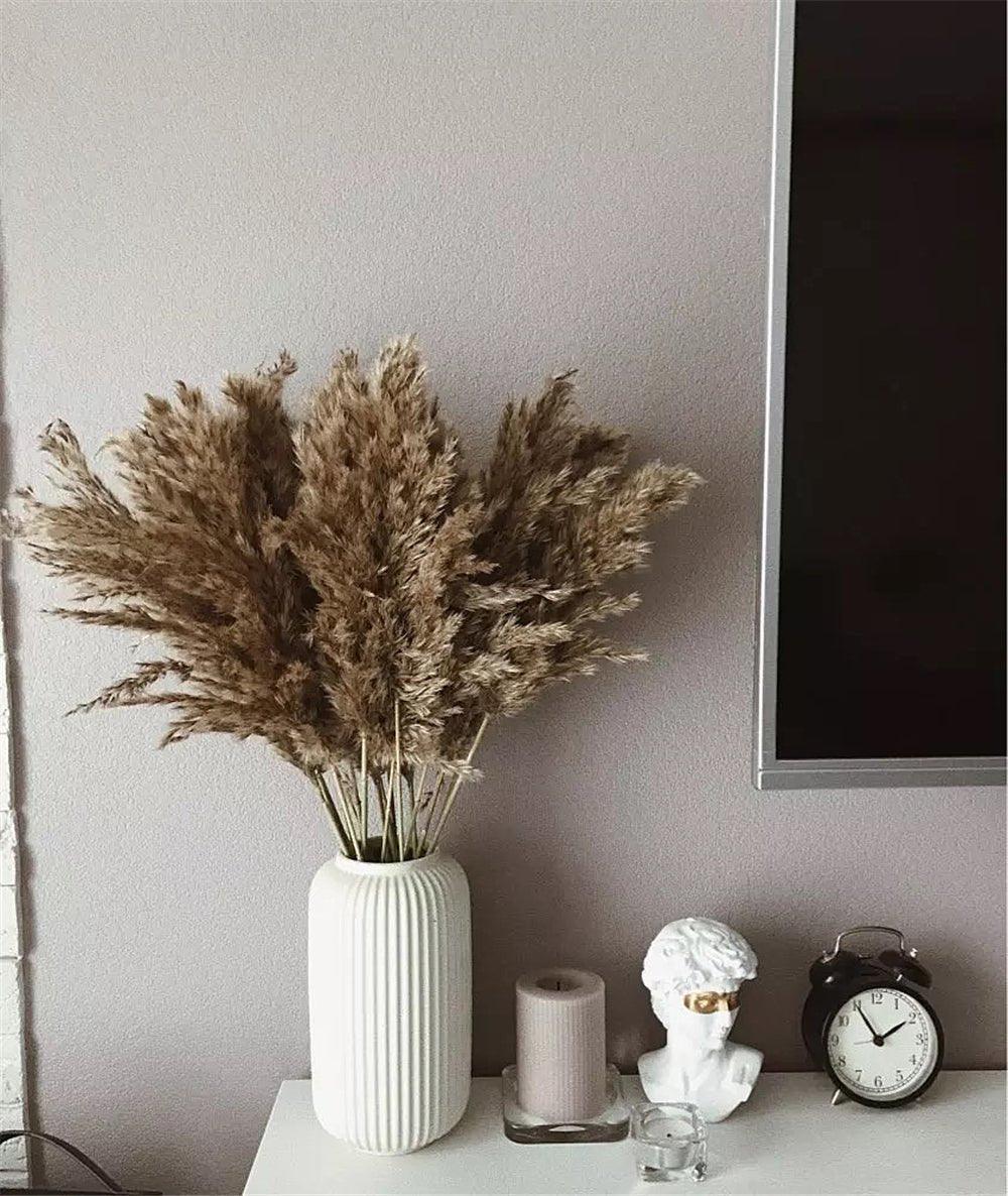 Dried Pampas Grass Bouquet 60 cm Natural Brown-Beige Feathers