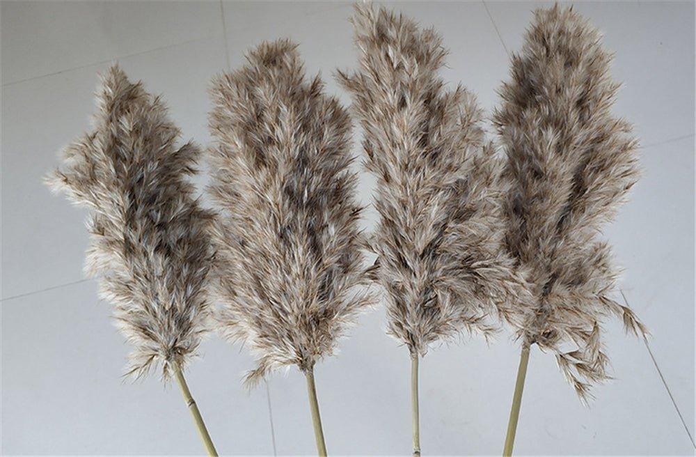 Natural Dried Pampas Grass Bouquet 60 cm - Fluffy Boho Decor