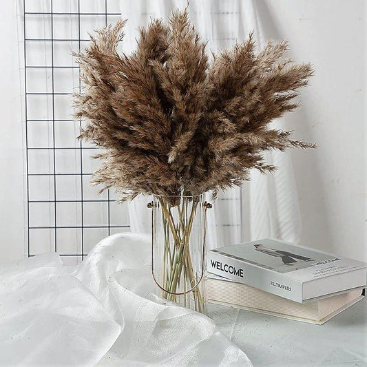 Natural Dried Pampas Grass Bouquet 60 cm - Fluffy Boho Decor
