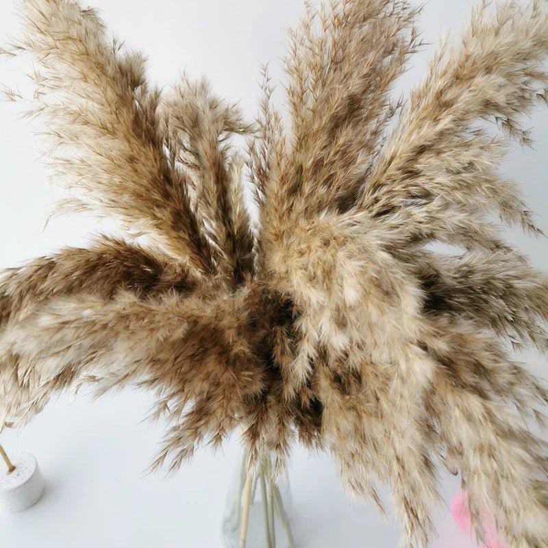 Natural Dried Pampas Grass Bouquet 60 cm - Fluffy Boho Decor
