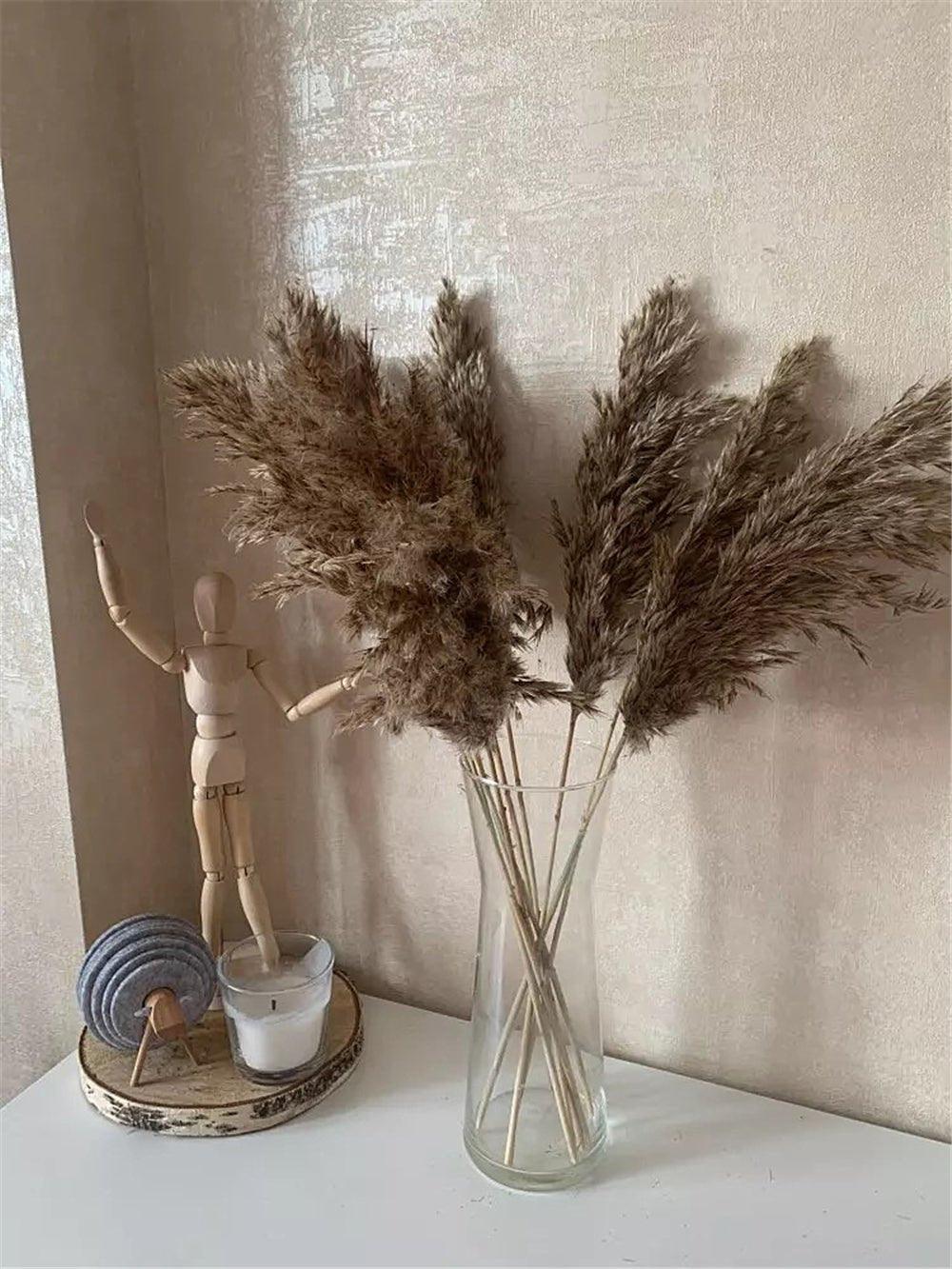 Dried Pampas Grass Bouquet 60 cm Natural Brown-Beige Feathers